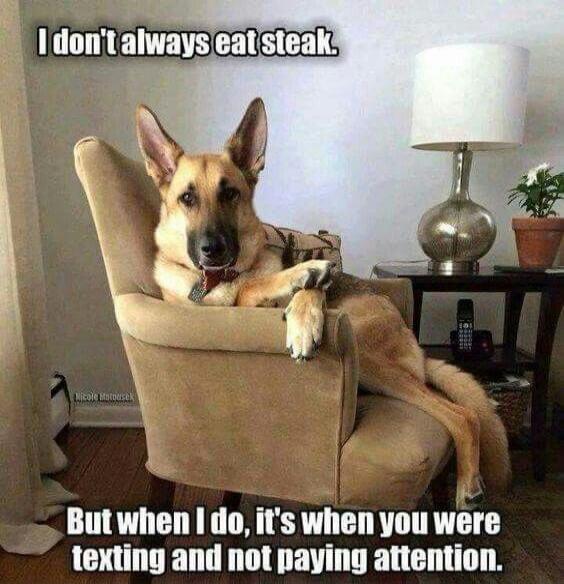 I don't always eat steak. But when I do, it's when you were texting and not paying attention.