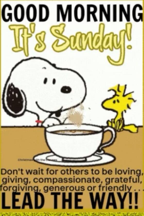 GOOD MORNING It's Sunday! Don't wait for others to be loving, giving, compassionate, grateful, forgiving, generous or friendly LEAD THE WAY!!