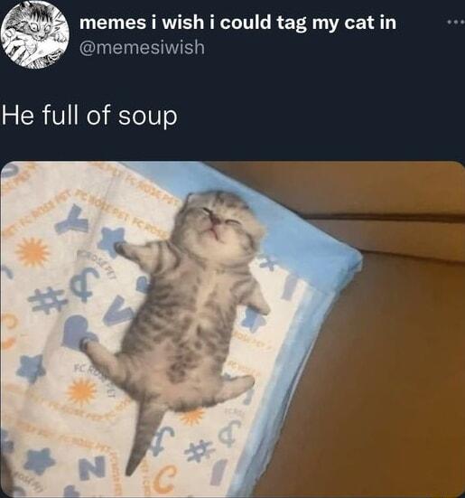 SRR R ITIG R ET G T memesiwish He full of soup R a3