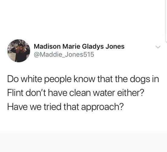 Madison Marie Gladys Jones Maddie_Jones515 Do white people know that the dogs in Flint dont have clean water either Have we tried that approach