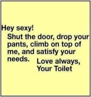 Hey sexy Shut the door drop your pants climb on top of me and satisfy your needs ove always Your Toilet