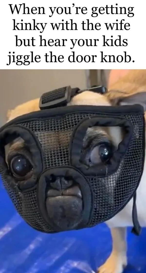 When youre getting kinky with the wife but hear your kids jiggle the door knob