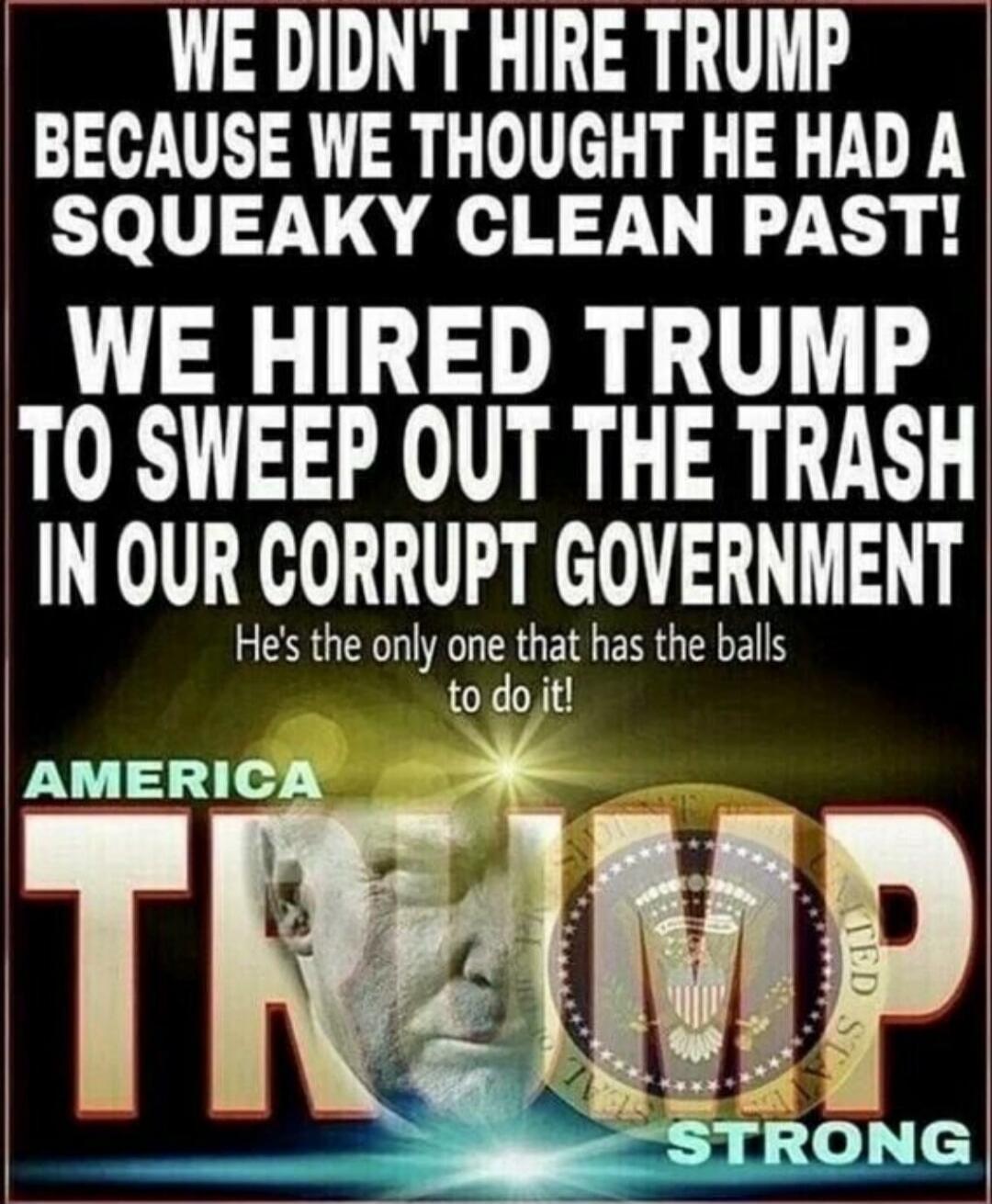 WE DIDN'T HIRE TRUMP BECAUSE WE THOUGHT HE HAD A SQUEAKY CLEAN PAST! WE HIRED TRUMP TO SWEEP OUT THE TRASH IN OUR CORRUPT GOVERNMENT He's the only one that has the balls to do it! AMERICA TRUMP STRONG