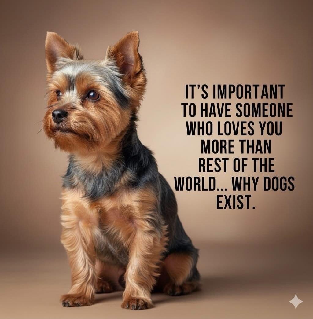 IT'S IMPORTANT TO HAVE SOMEONE WHO LOVES YOU MORE THAN REST OF THE WORLD... WHY DOGS EXIST.