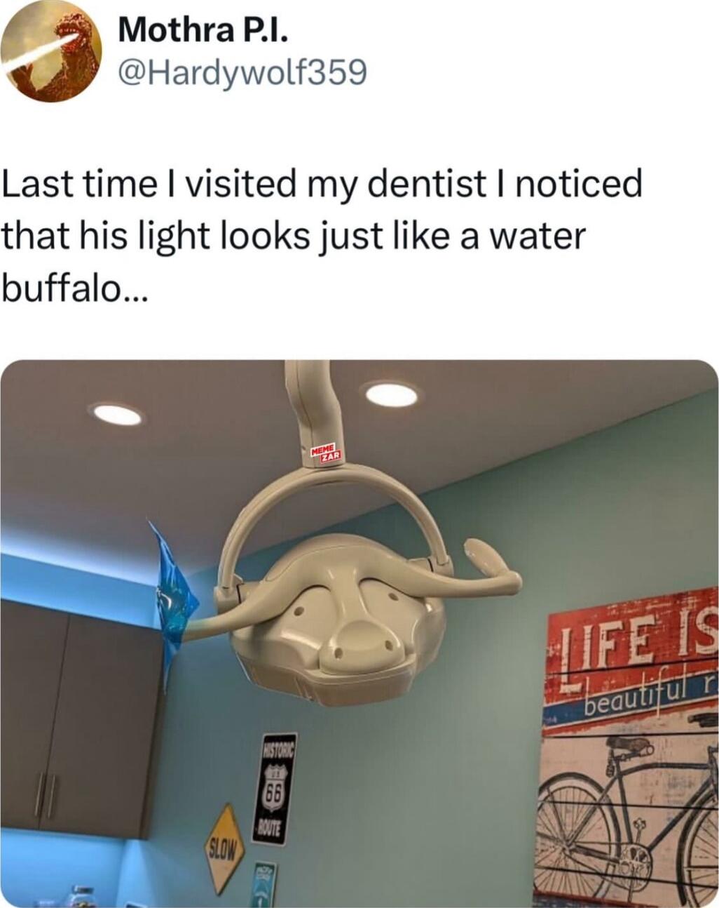 MothraPI Hardywolf359 Last time visited my dentist noticed hat his light looks just like a water buffalo
