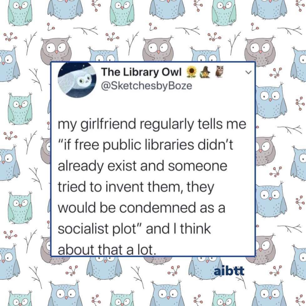 The Library Owl ll d SketchesbyBoze my girlfriend regularly tells me if free public libraries didnt already exist and someone tried to invent them they would be condemned as a socialist plot and think