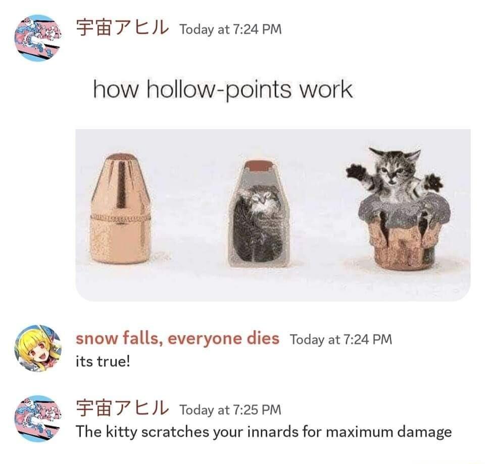 FHTEIL Todyatr24pm how hollow points work snow falls everyone dies Today at 724 PM its true FEHT EIL Todayat725oM The kitty scratches your innards for maximum damage