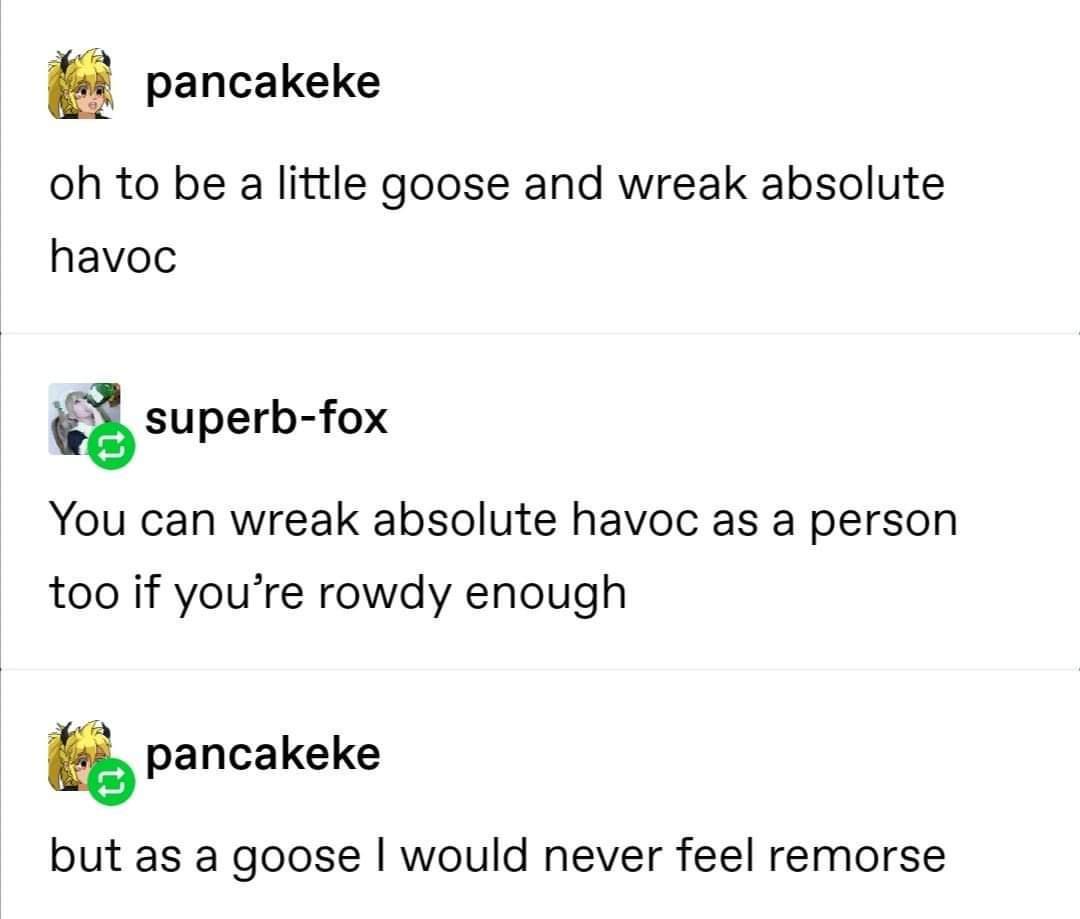 E pancakeke oh to be a little goose and wreak absolute havoc superb fox You can wreak absolute havoc as a person too if youre rowdy enough Q pancakeke but as a goose would never feel remorse