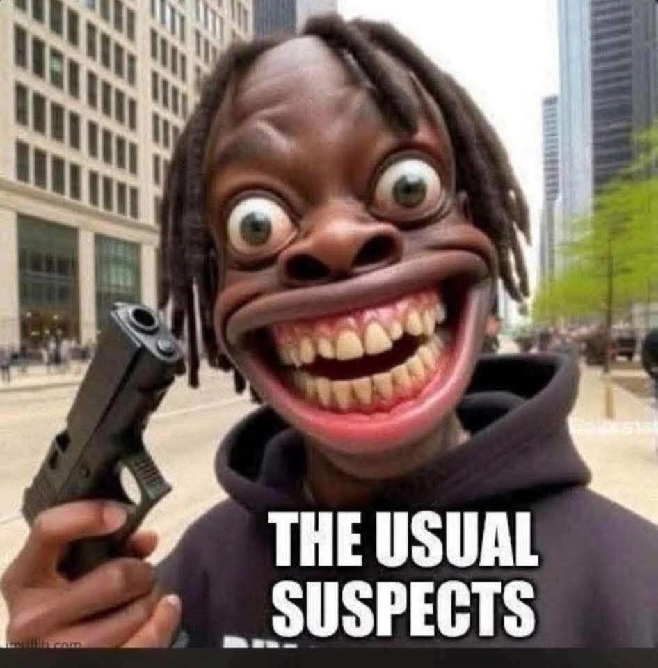 THE USUAL SUSPECTS
