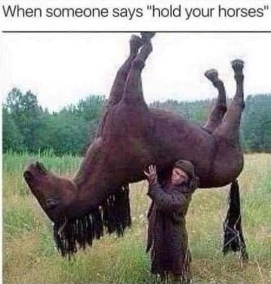 When someone says hold your horses