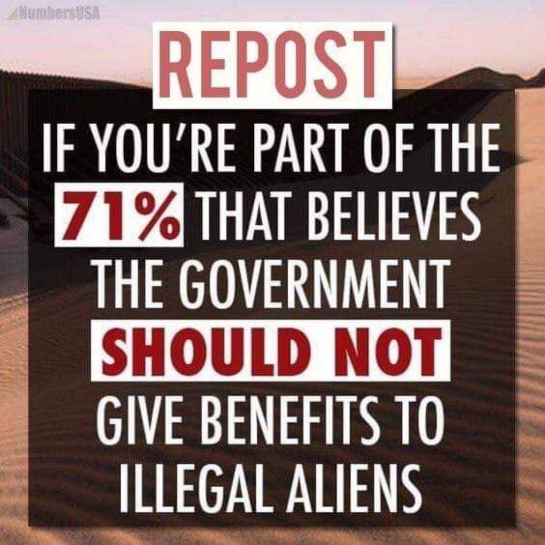 IF YOURE PART OF THE 8 71NEETEN THE GOVERNMENT SHOULD NOT GIVE BENEFITS TO ILLEGAL ALIENS