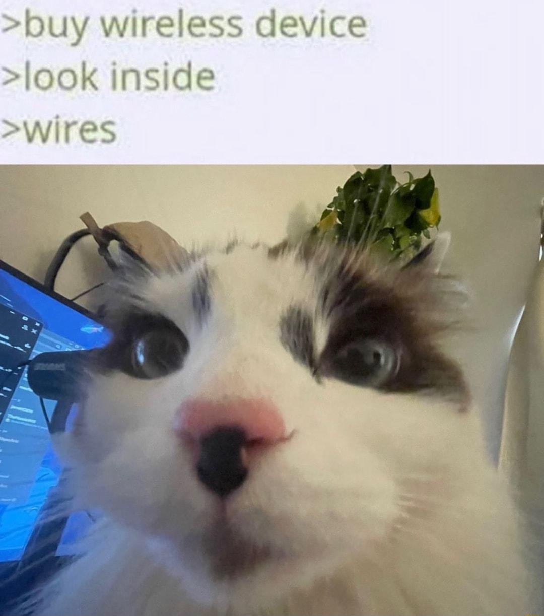 buy wireless device look inside wires