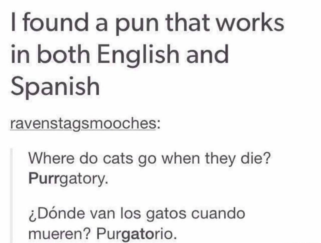 found a pun that works in both English and Spanish ravenstagsmooches Where do cats go when they die Purrgatory Donde van los gatos cuando mueren Purgatorio