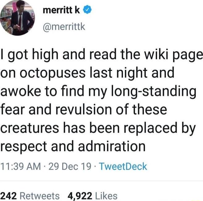 merrittk merrittk got high and read the wiki page on octopuses last night and awoke to find my long standing fear and revulsion of these creatures has been replaced by respect and admiration 1139 AM 29 Dec 19 TweetDeck 242 Retweets 4922 Likes