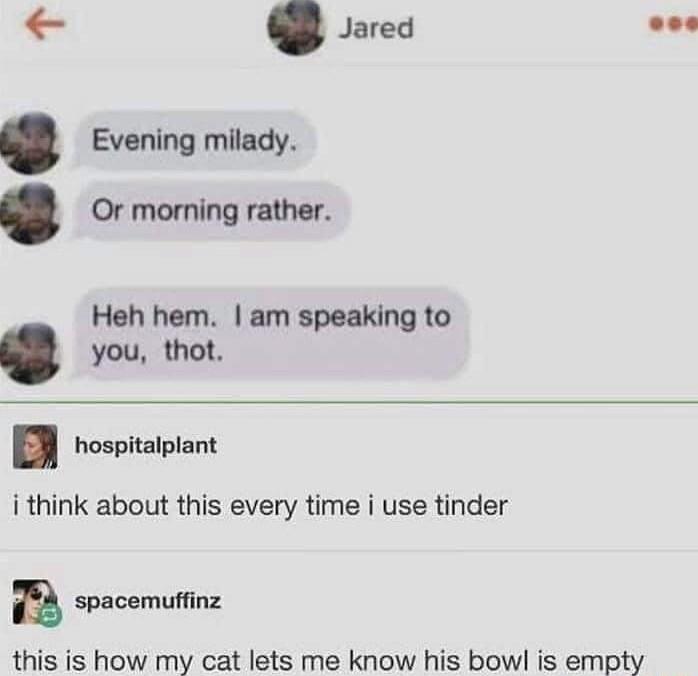 3 Jared Lo Evening milady Or morning rather Heh hem am speaking to you thot hospitalplant i think about this every time i use tinder E spacemuffinz this is how my cat lets me know his bowl is empty