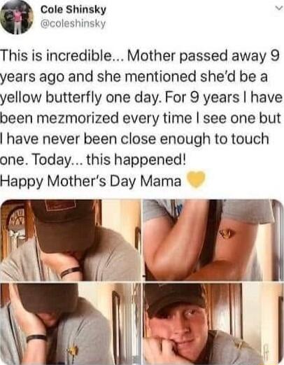 Cole Shinsky g coleshinsky This is incredible Mother passed away 9 years ago and she mentioned shed be a yellow butterfly one day For 9 years have been mezmorized every time see one but have never been close enough to touch one Today this happened Happy Mothers Day Mama