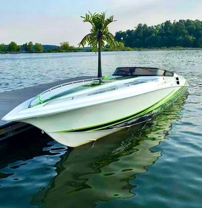 Speedboat docked near a small palm tree on a calm body of water.