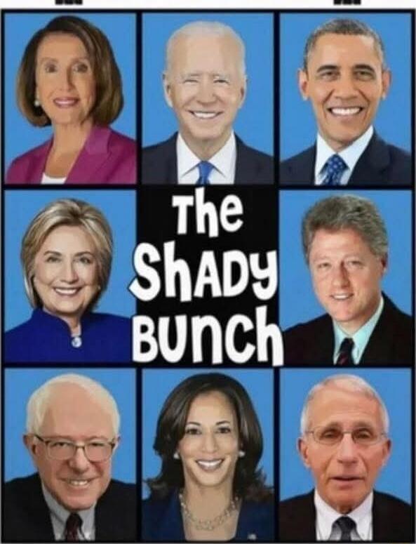 The Shady Bunch