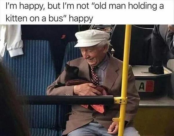 Im happy but Im not old man holding a kitten on a bus happy