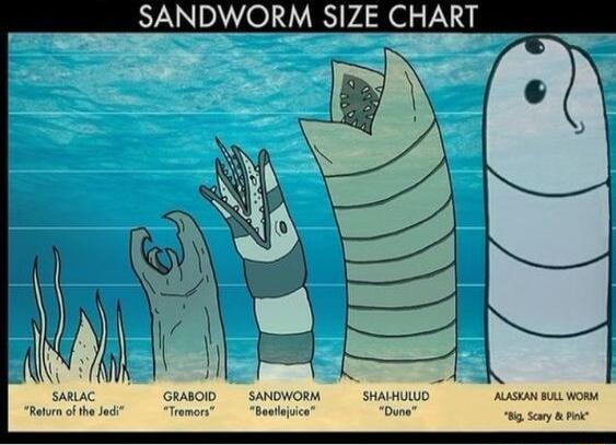 SANDWORM SIZE CHART sanac GRAIOD SANOWORM SKAUID avmoiheled Tremen Beulisea Duna