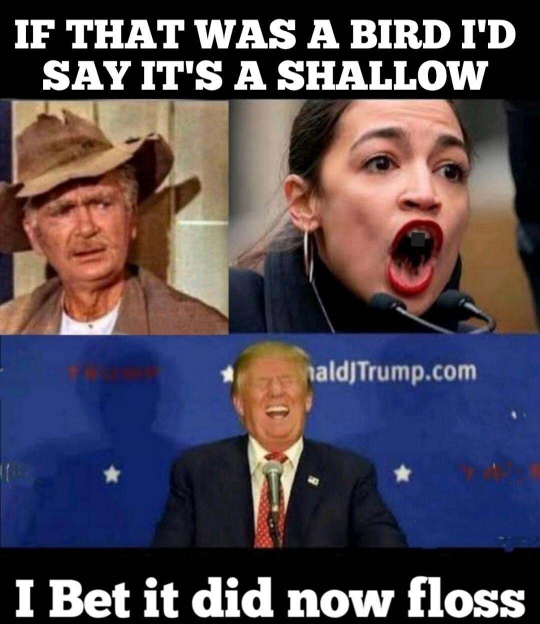 IF THAT WAS A BIRD I'D SAY IT'S A SHALLOW
I Bet it did now floss