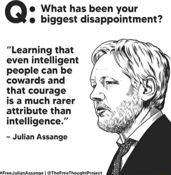 Q e What has been your e biggest disappointment Learning that even intelligent people can be cowards and that courage is a much rarer attribute than intelligence Julian Assange sPresJlulianAssance ThePreeThouahtProlect