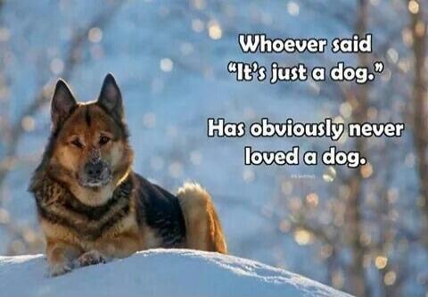 Whoever said 