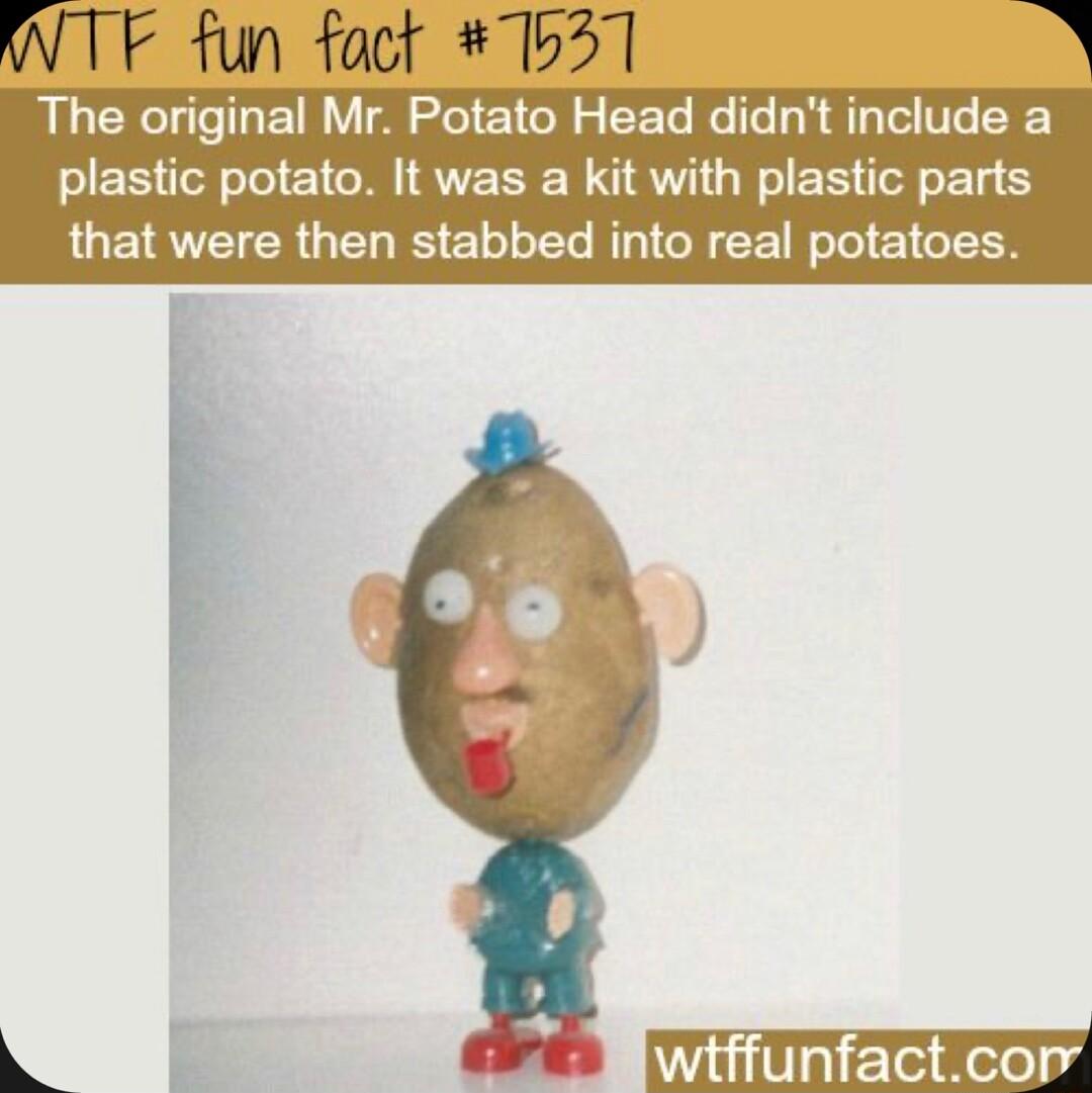 WTF fun foct 31 R The original Mr Potato Head didnt include a plastic potato It was a kit with plastic parts that were then stabbed into real potatoes