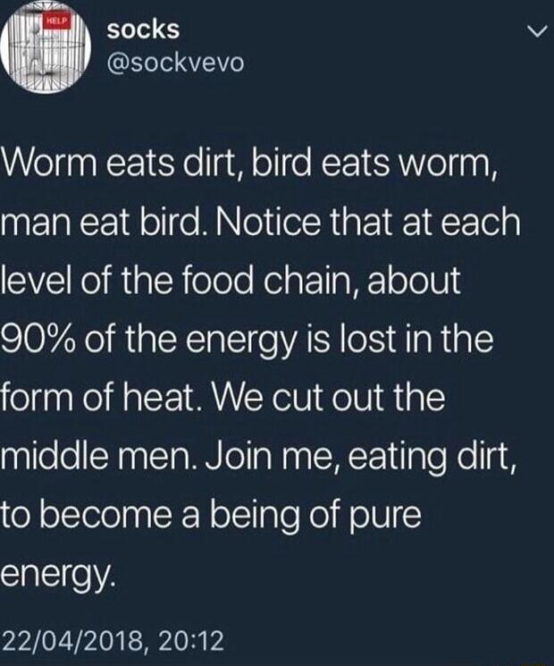 ELS OETSRZE Worm eats dirt bird eats worm NEREEE d ol e MNoleRipEIR1REolg SVINe it aleR eTole Relate o WF ololU 90 of the energy is lost in the form of heat We cut out the middle men Join me eating dirt oY olIoleln SR Nolclale o oV energy 22042018 2012