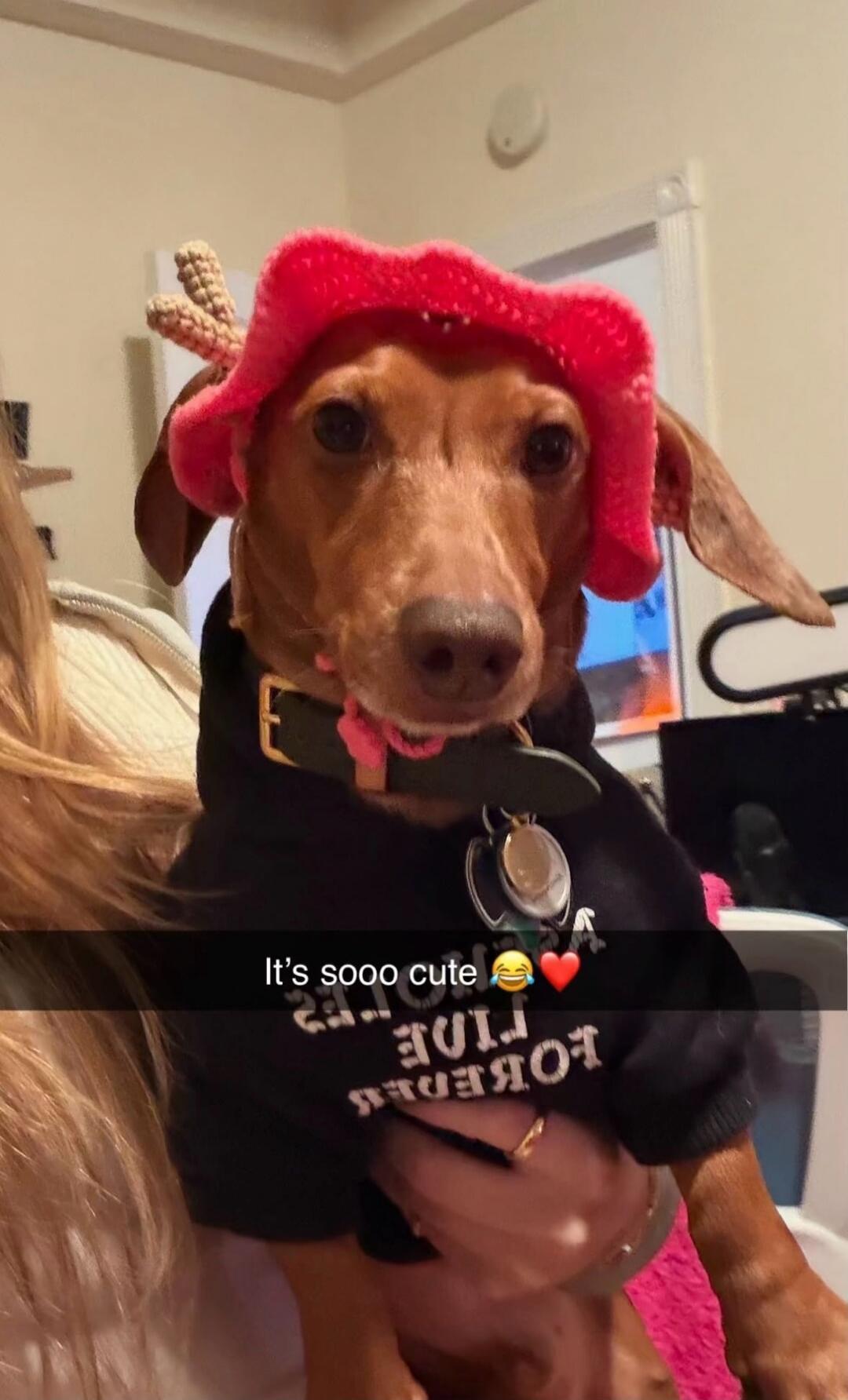 It's sooo cute 😂❤️