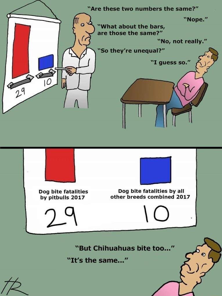 Are these two numbers the same Nope What about the bars are those the same No not really So theyre unequal 1 guess so But Chihuahuas bite t0o Its the same