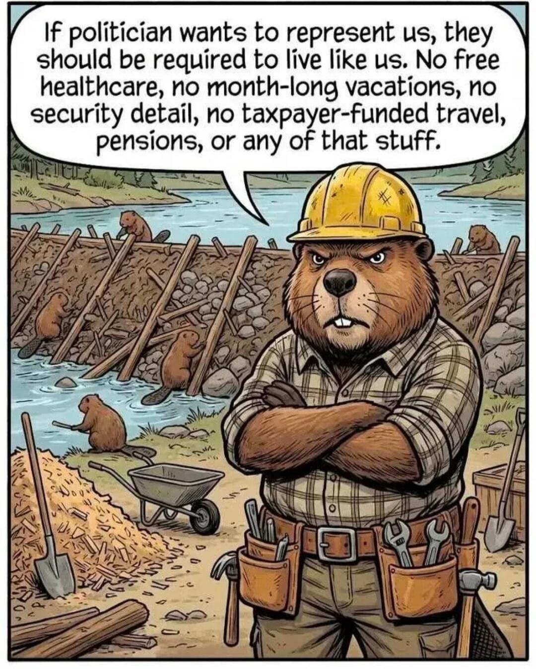 If politician wants to represent us, they should be required to live like us. No free healthcare, no month-long vacations, no security detail, no taxpayer-funded travel, pensions, or any of that stuff.