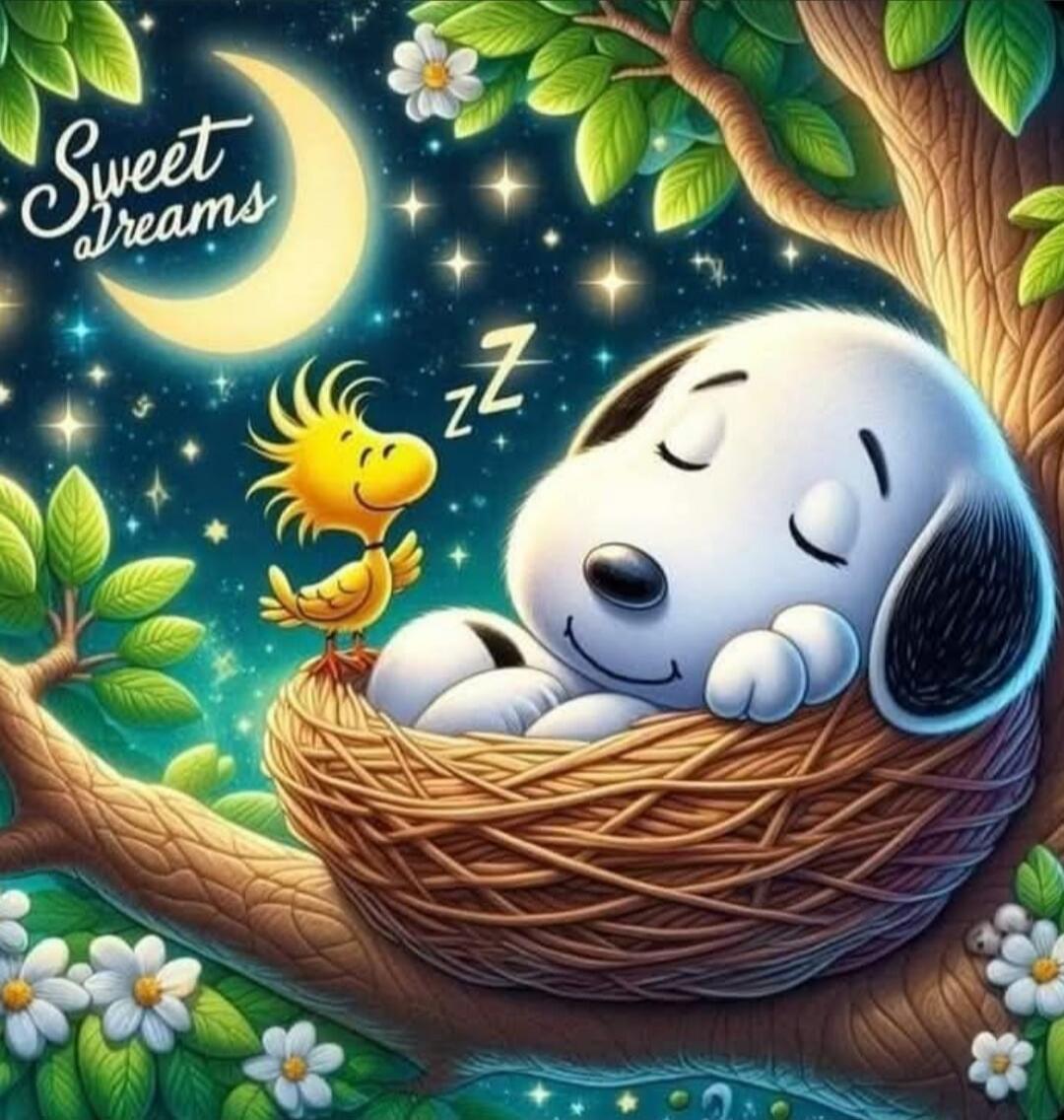 Sweet dreams