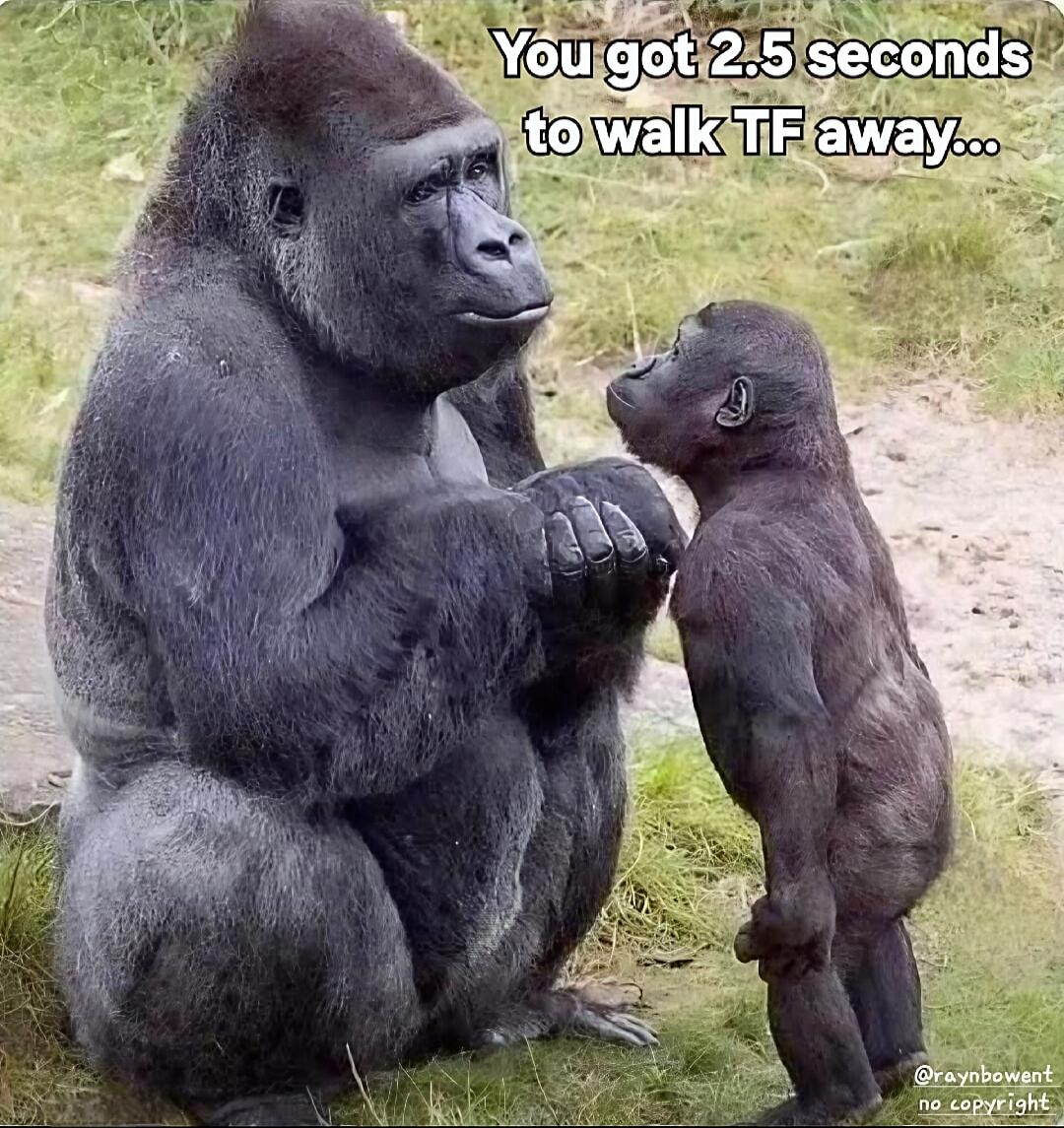 You got 2.5 seconds to walk TF away...