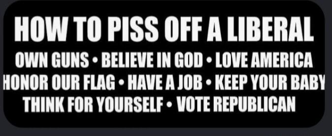 HOW TO PISS OFF A LIBERAL • OWN GUNS • BELIEVE IN GOD • LOVE AMERICA • HONOR OUR FLAG • HAVE A JOB • KEEP YOUR BABY • THINK FOR YOURSELF • VOTE REPUBLICAN