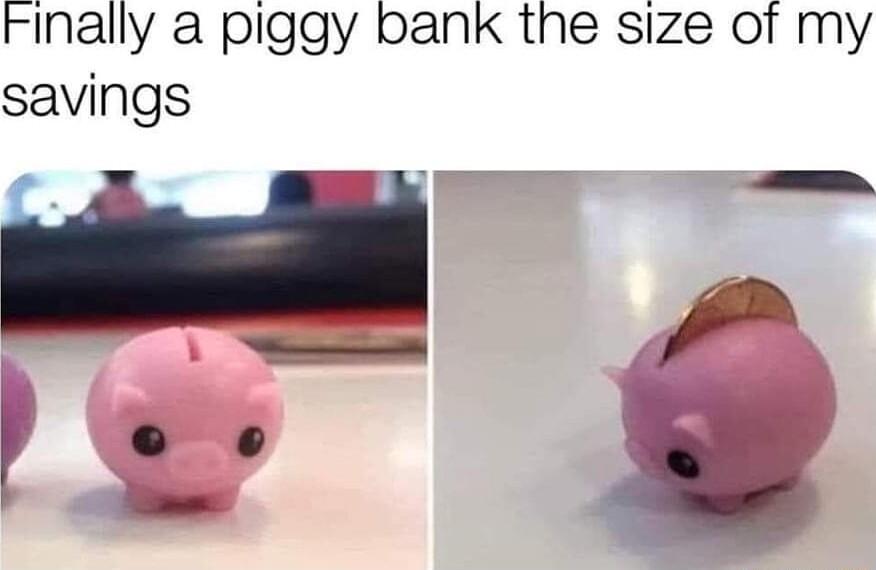 Finally a piggy bank the size of my savings _ r
