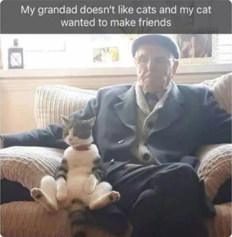 My grandad doesnt like cats and my cat UELCRRCIYELCR RN