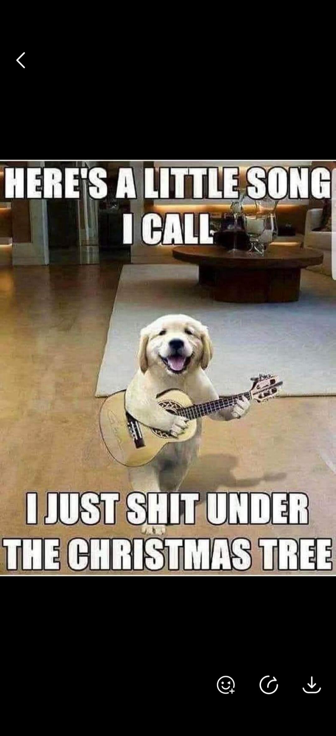 HERE'S A LITTLE SONG I CALL I JUST SHIT UNDER THE CHRISTMAS TREE