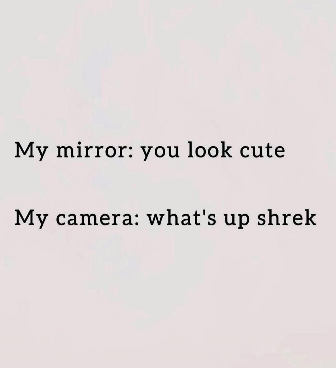 My mirror: you look cute

My camera: what's up shrek