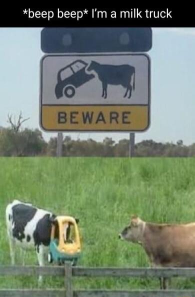 beep beep Im a milk truck