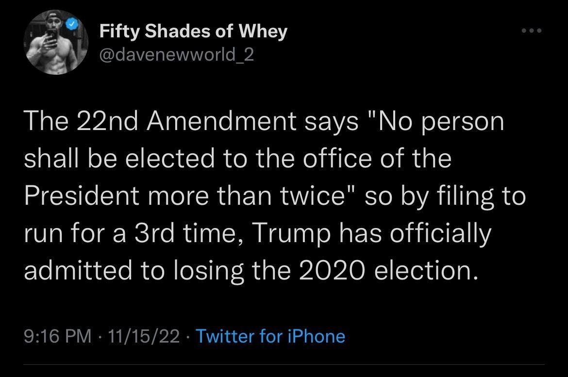 Fifty Shades of Whey The 22nd Amendment says No person shall be elected to the office of the HER R GET RN WA 3 run for a 3rd time Trump has officially admitted to losing the 2020 election 916 PM 111522 Twiitter for iPhone 8241 Retweets 287 Quote Tweets 732K Likes