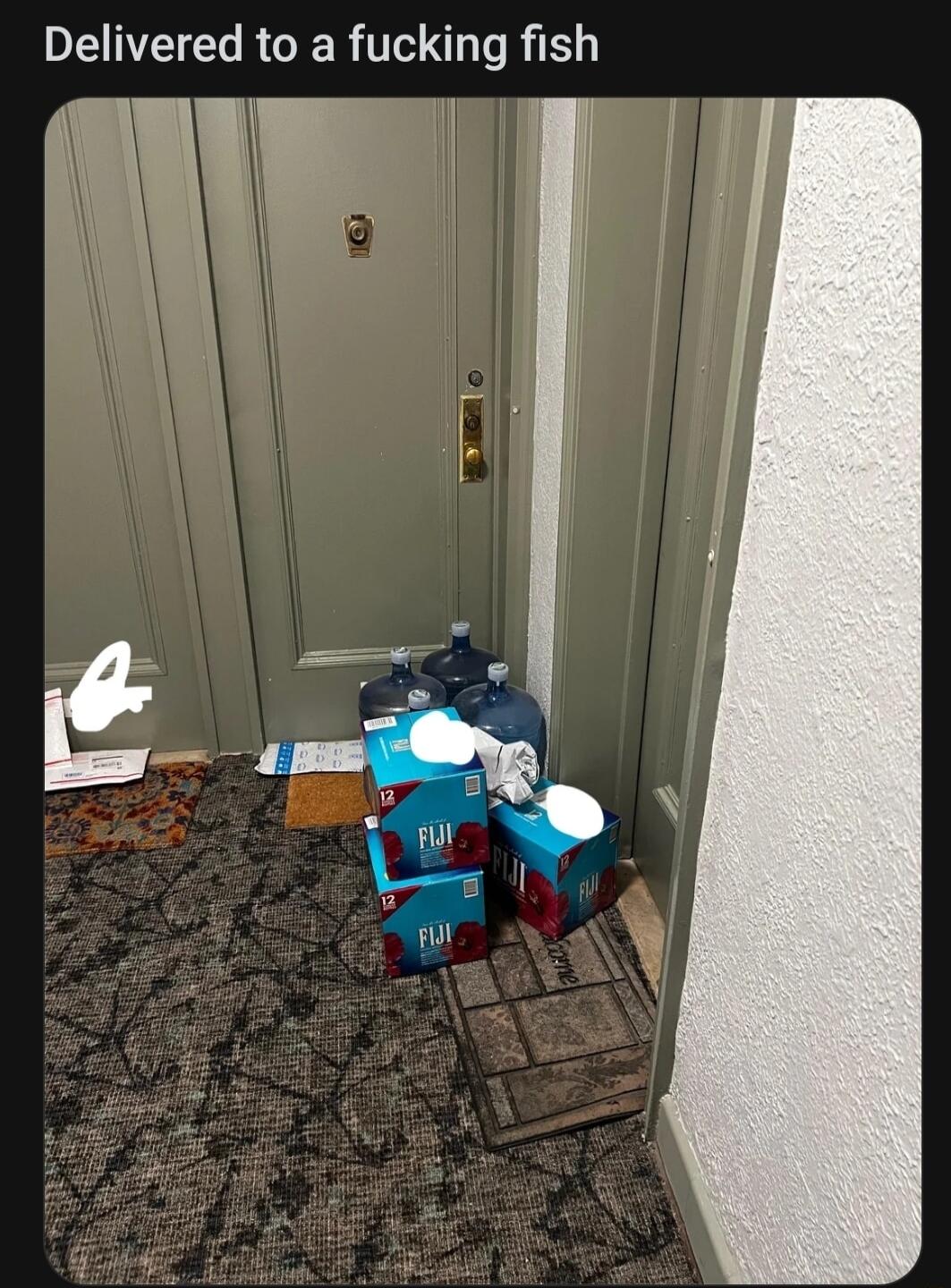 Delivered to a fucking fish