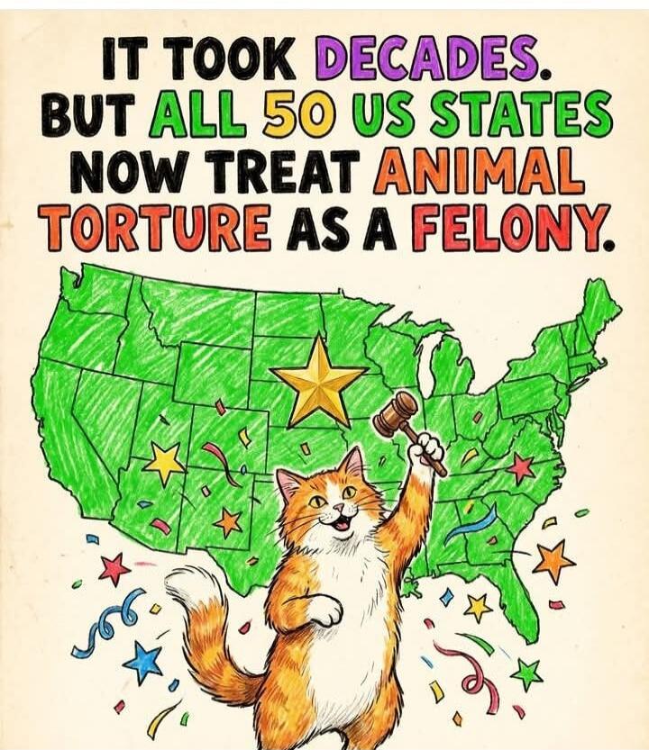 IT TOOK DECADES. BUT ALL 50 US STATES NOW TREAT ANIMAL TORTURE AS A FELONY.