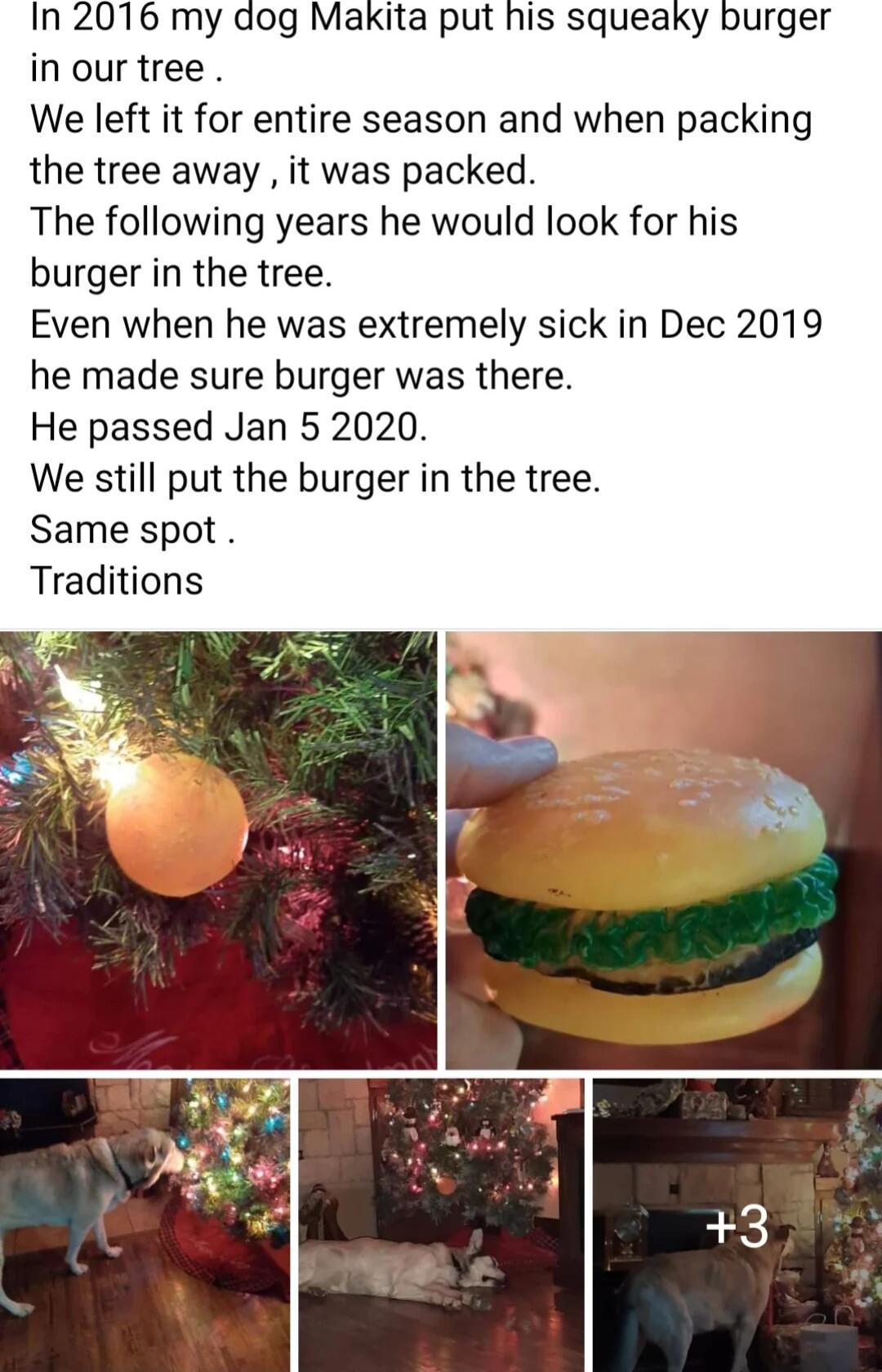 In 2076 my dog Makita put his squeaky burger inourtree We left it for entire season and when packing the tree away it was packed The following years he would look for his burger in the tree Even when he was extremely sick in Dec 2019 he made sure burger was there He passed Jan 5 2020 We still put the burger in the tree Same spot Traditions