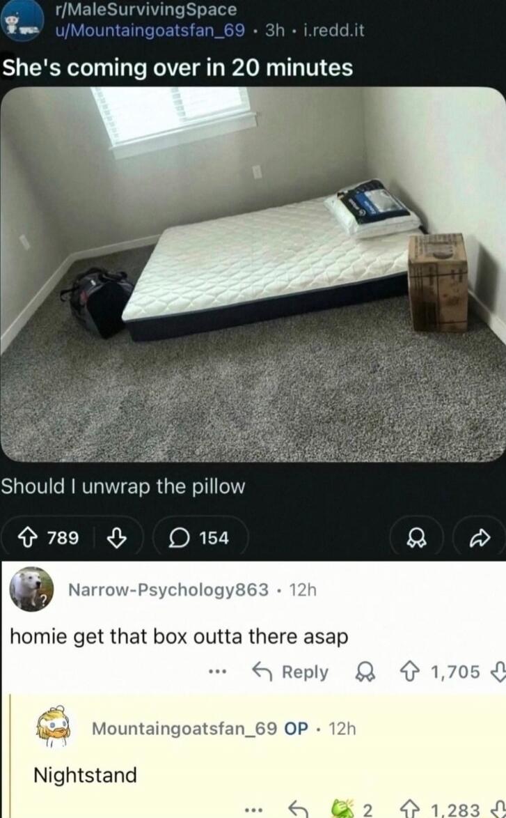 r/MaleSurvivingSpace u/Mountaingoatsfan_69 3h i.redd.it She's coming over in 20 minutes Should I unwrap the pillow homie get that box outta there asap Nightstand