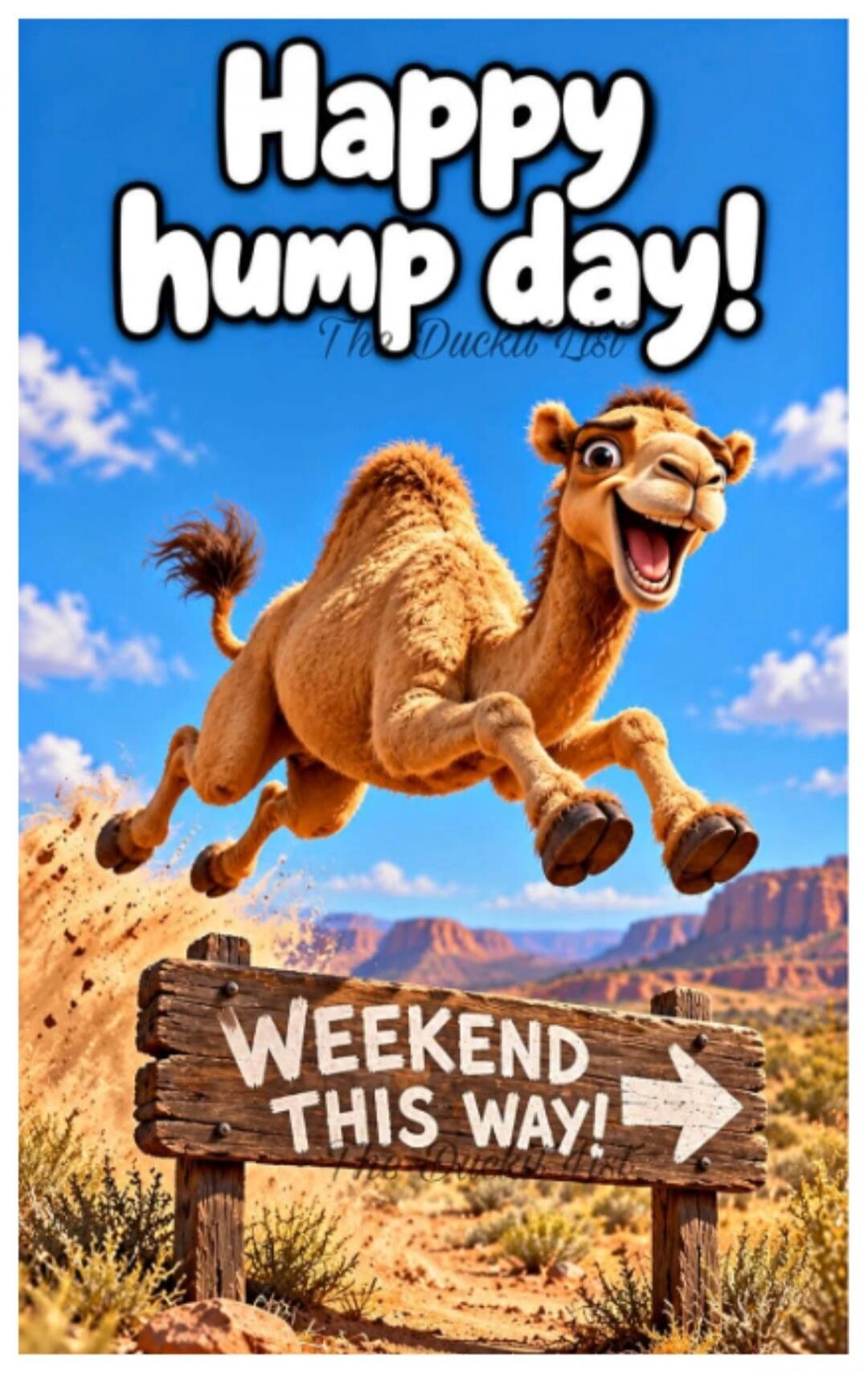 Happy hump day! Weekend this way!