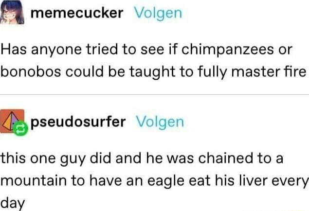 a memecucker Volgen Has anyone tried to see if chimpanzees or bonobos could be taught to fully master fire pseudosurfer Volgen this one guy did and he was chained to a mountain to have an eagle eat his liver every day