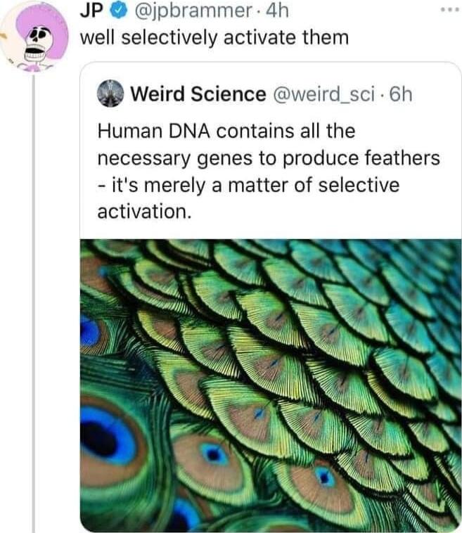 4 JP jpbrammer 4h well selectively activate them Weird Science weird_sci 6h Human DNA contains all the necessary genes to produce feathers its merely a matter of selective activation