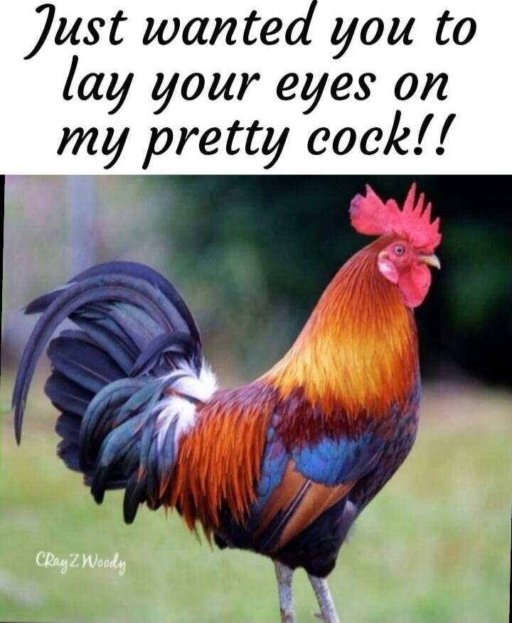 Just wanted you to lay your eyes on my pretty cock!!