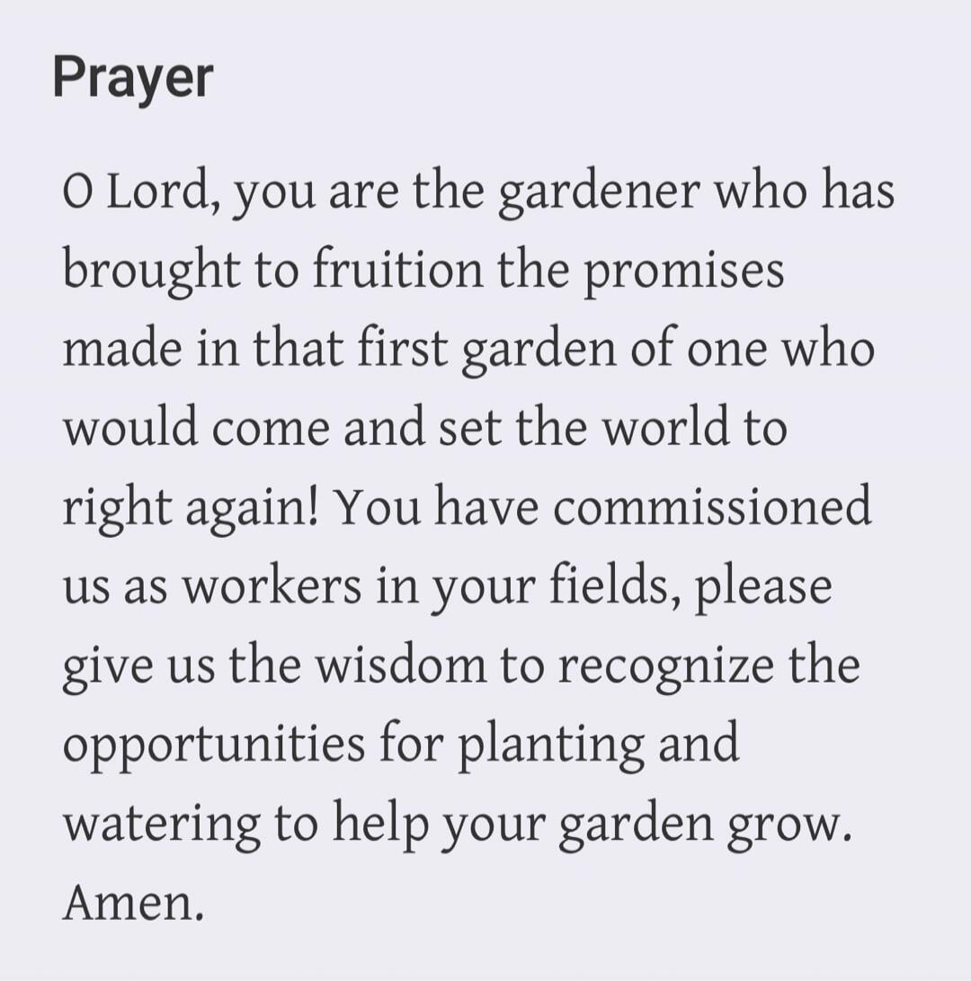 Prayer O Lord, you are the gardener who has brought to fruition the promises made in that first garden of one who would come and set the world to right again! You have commissioned us as workers in your fields, please give us the wisdom to recognize the opportunities for planting and watering to help your garden grow. Amen.